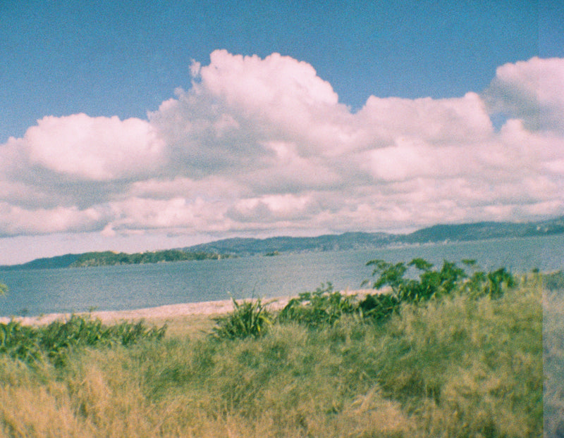 Sample photo shot on Kodak EKTRA  10 - 110 Film Camera, frame 12