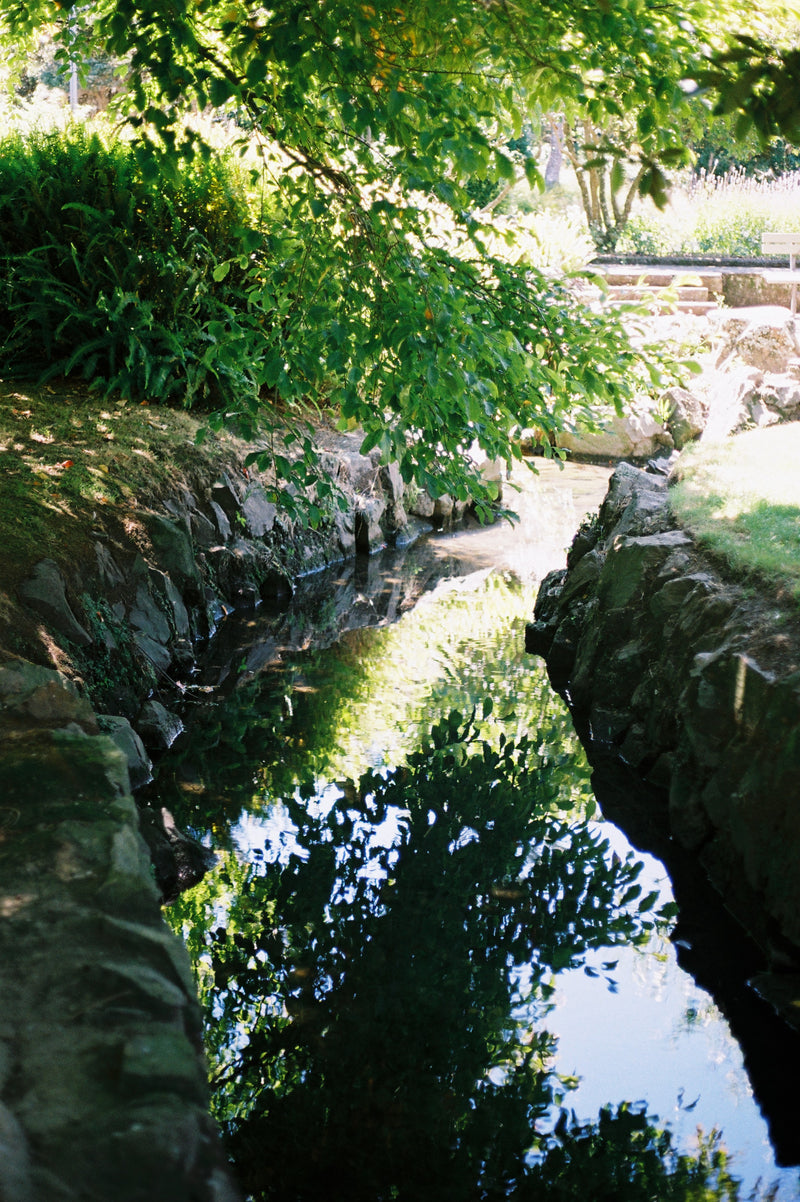 Sample photo shot on Canon AE-1 with Canon 50mm F1.8, frame 3