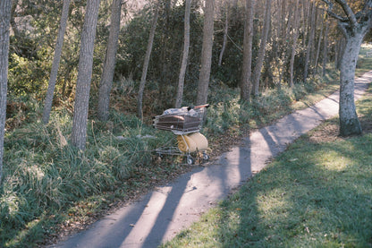 Canon EOS 5 + 50mm f/1.8