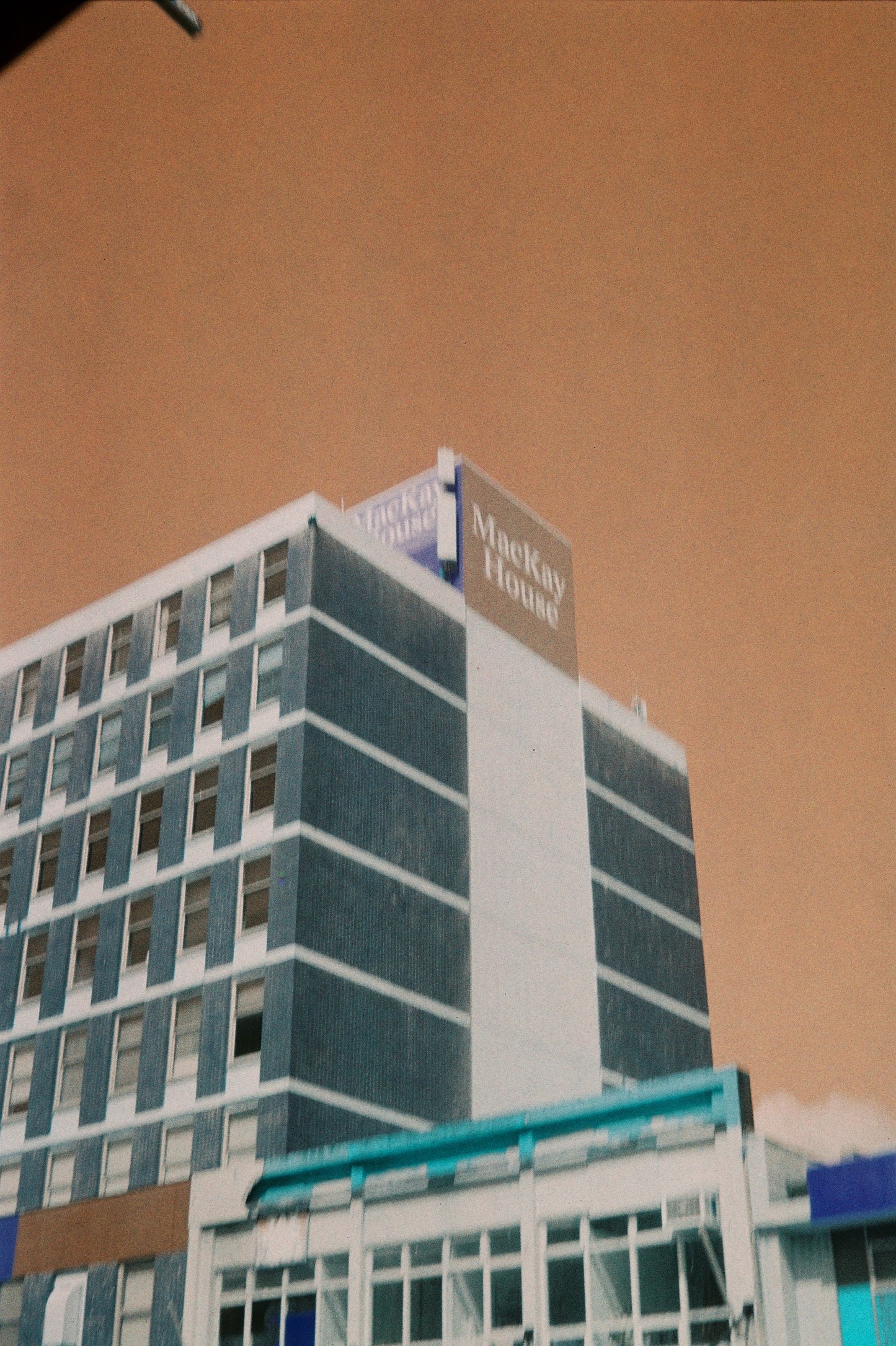 Olympus Trip 35