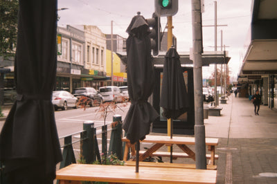 Sample photo shot on Minolta Dynax 7000i with 35-80mm, frame 7