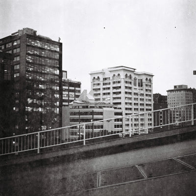 Sample photo shot on Yashica-Mat, frame 6
