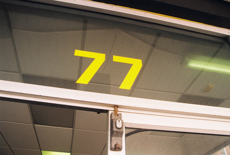 Sample photo shot on Canon EOS 5 35mm SLR Camera with 28-105mm, frame 4