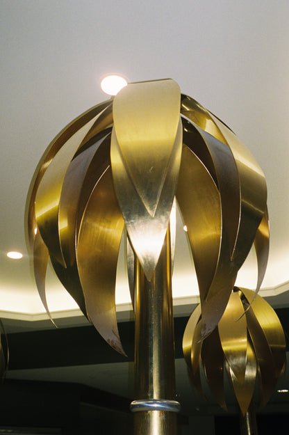Olympus mju II