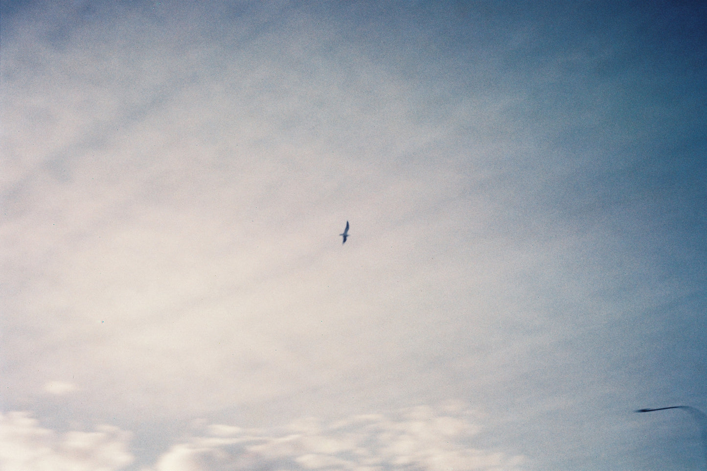 Canonet 28