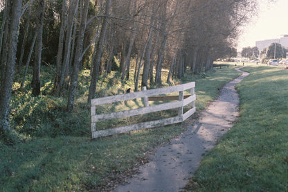 Canon EOS 5 + 50mm f/1.8