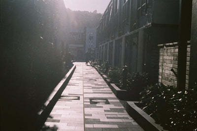 Sample photo shot on Miranda MS-1 Super with 50mm f/2, frame 10