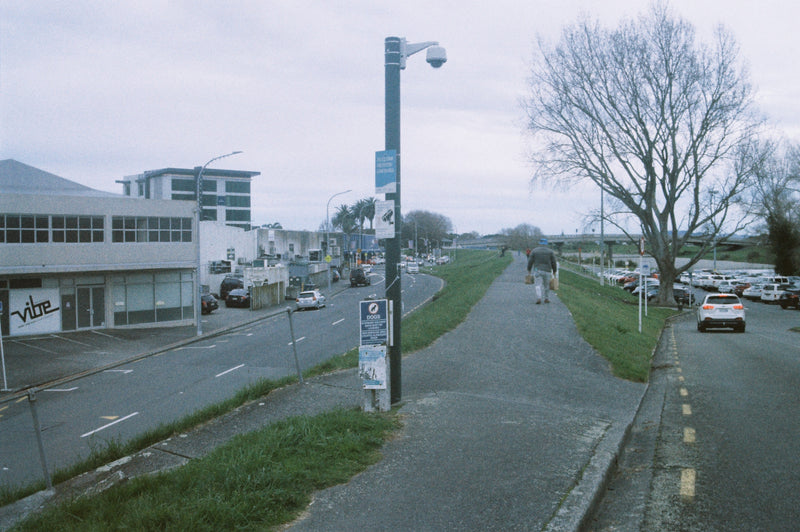 Sample photo shot on Pentax SF1n, frame 5