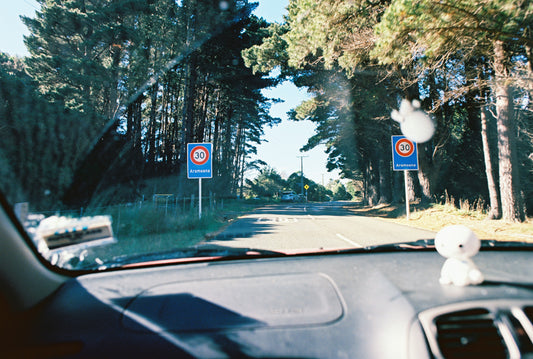 Kodak Ektar 100 - 36exp