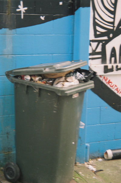 Sample photo shot on Minolta Dynax 7000i with 35-80mm, frame 12