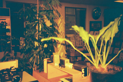 Nikon Lite Touch Zoom 120 ED