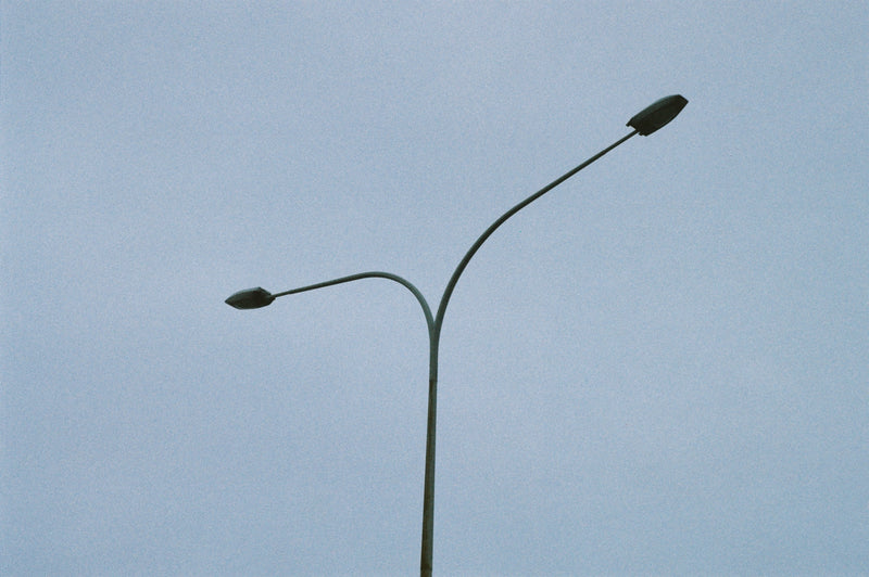Sample photo shot on Pentax SF1n, frame 8