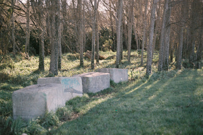 Canon EOS 5 + 50mm f/1.8