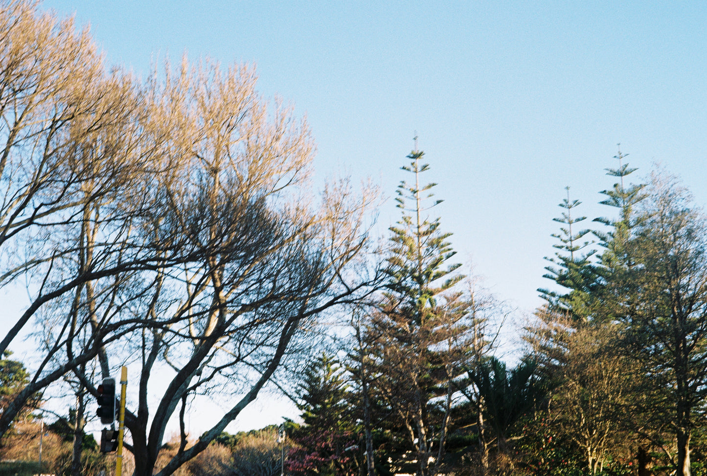 Minolta Hi-Matic 7s Silver