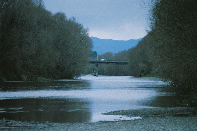 Sample photo shot on Pentax SF1n, frame 10