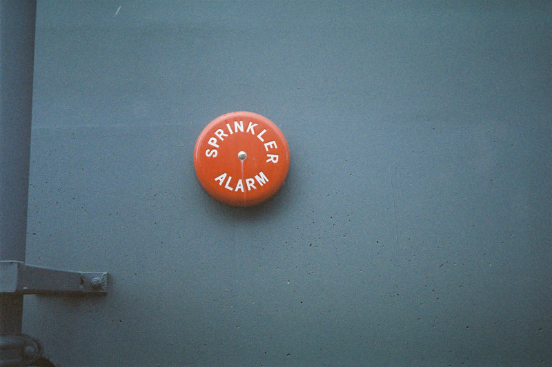 Sample photo shot on Olympus mju I, frame 4