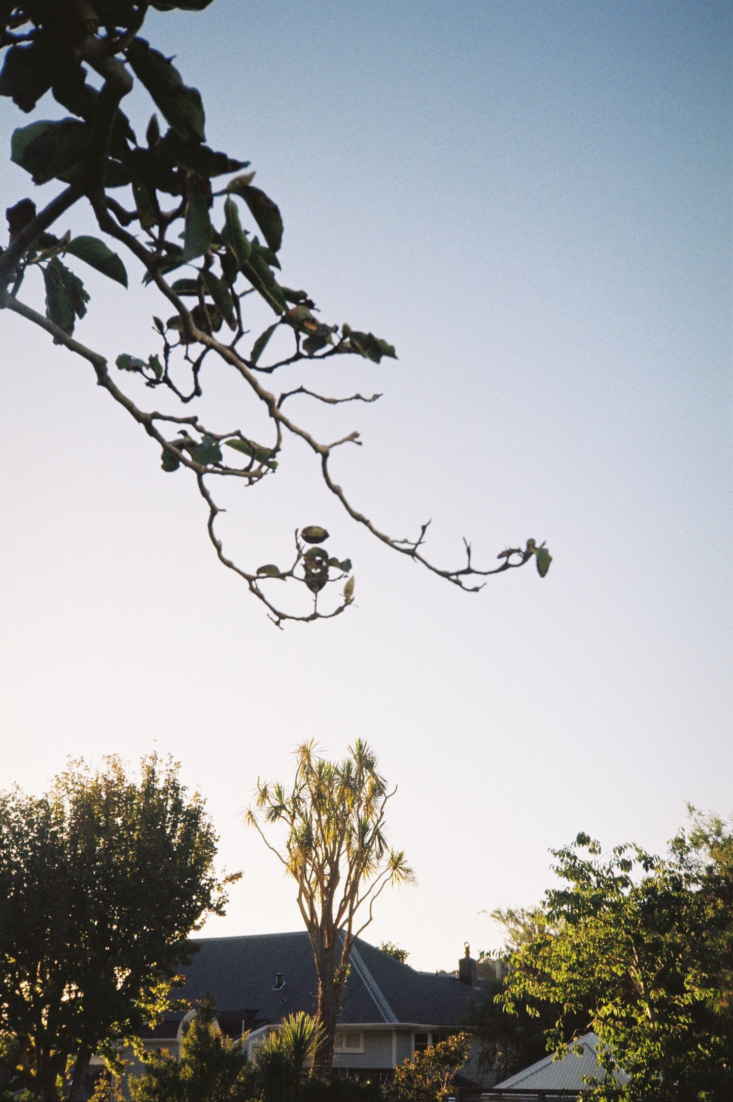 Ricoh AF-77
