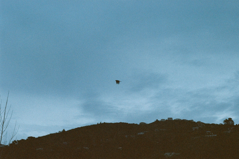 Sample photo shot on Pentax SF1n, frame 13