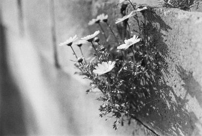 Canon AE-1
