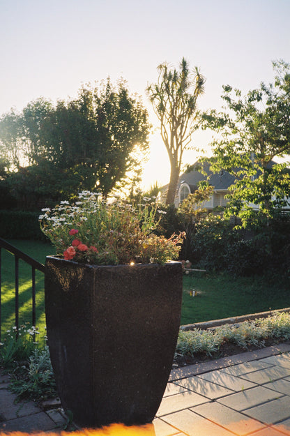 Ricoh AF-77