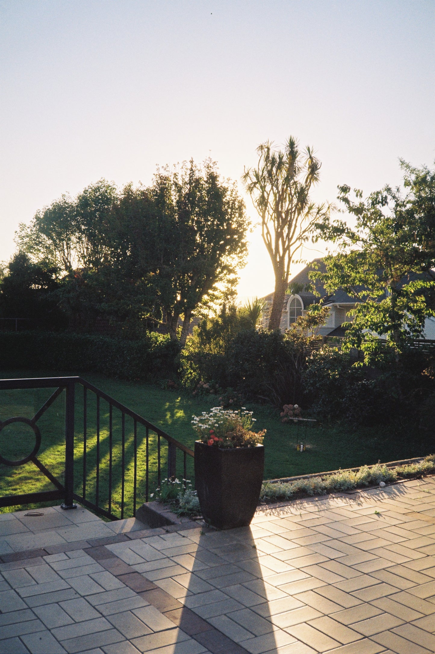 Ricoh AF-77