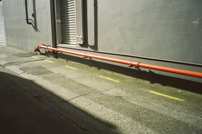 Sample photo shot on Canon Sureshot Zoom, frame 2