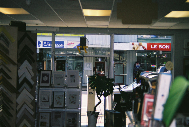 Sample photo shot on Minolta Dynax 5000i with 35-80mm, frame 6