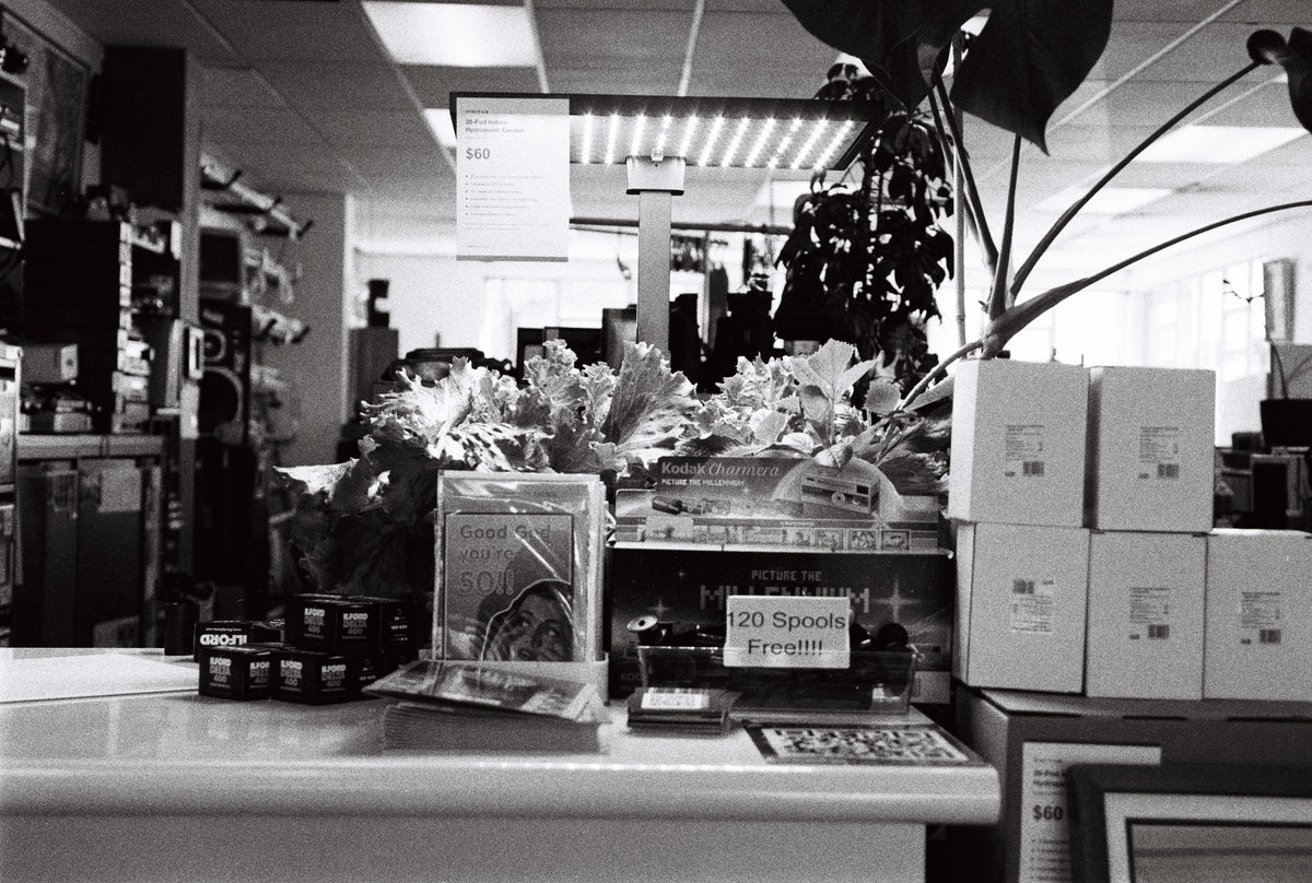 Nikon F-801s