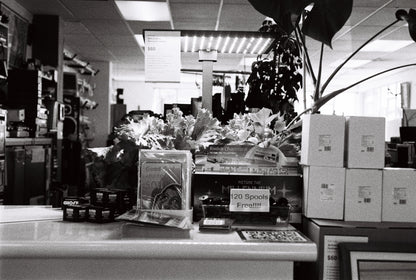 Nikon F-801s