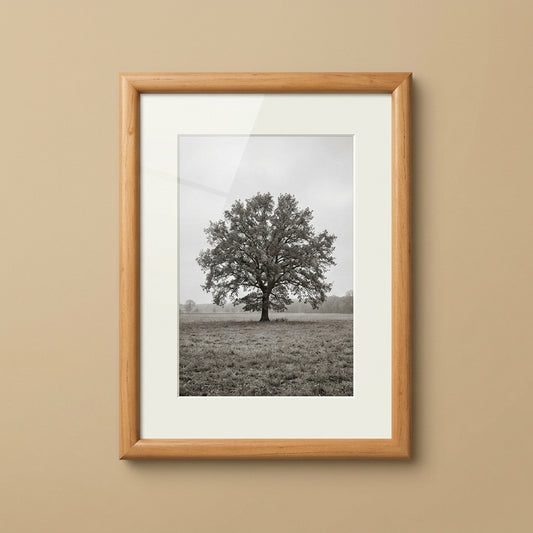 Thistle light Rimu Frame