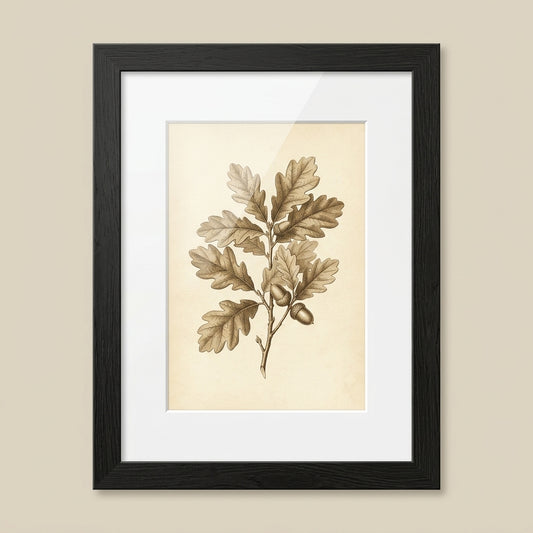 Wynyard Black Frame