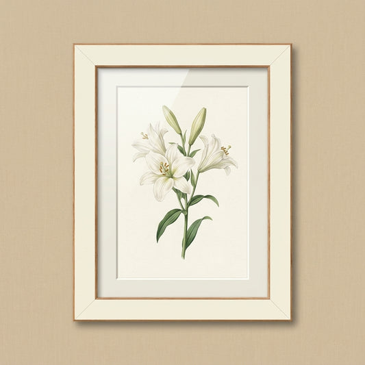 Wynyard French Provincial Frame