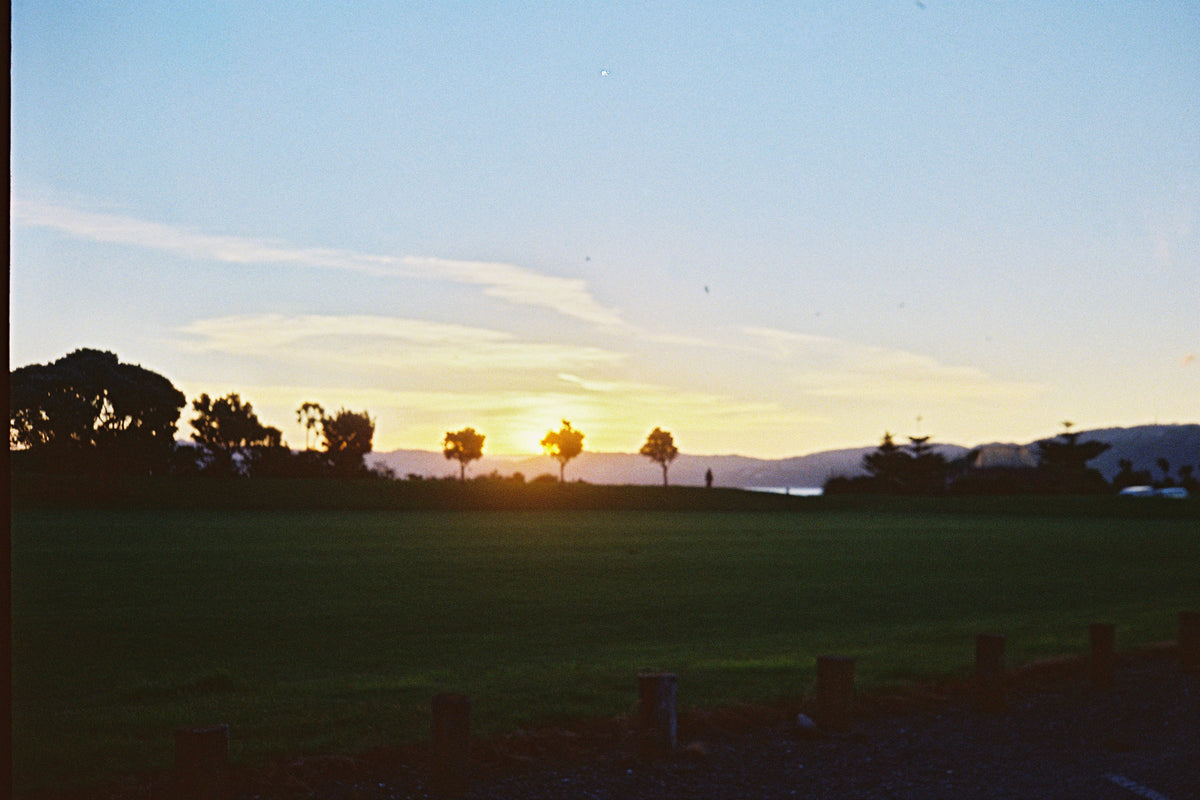 Lomography Color Negative 100 - 36exp