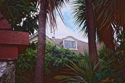 Lomography Color Negative 100 - 36exp