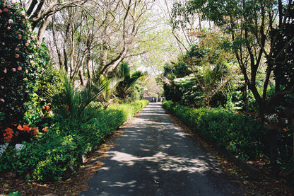 Kodak ULTRAMAX 400 36 EXP