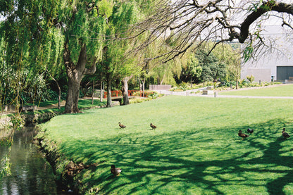 Kodak ULTRAMAX 400 36 EXP