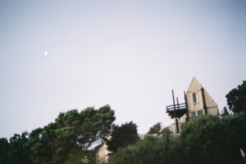 Sample photo shot on Olympus OM-1N with 50mm f1.4, frame 3