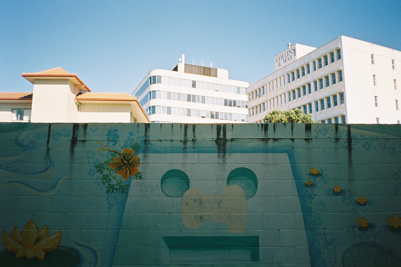 Sample photo shot on Minolta AF-11R, frame 4