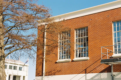 Kodak Gold 200 - 36exp