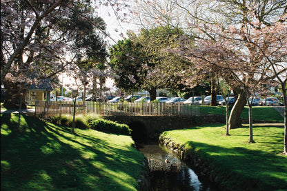 Kodak Gold 200 - 36exp