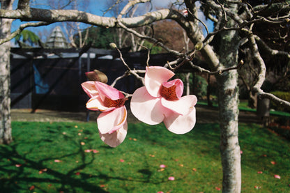 Fujifilm Fujicolor 400