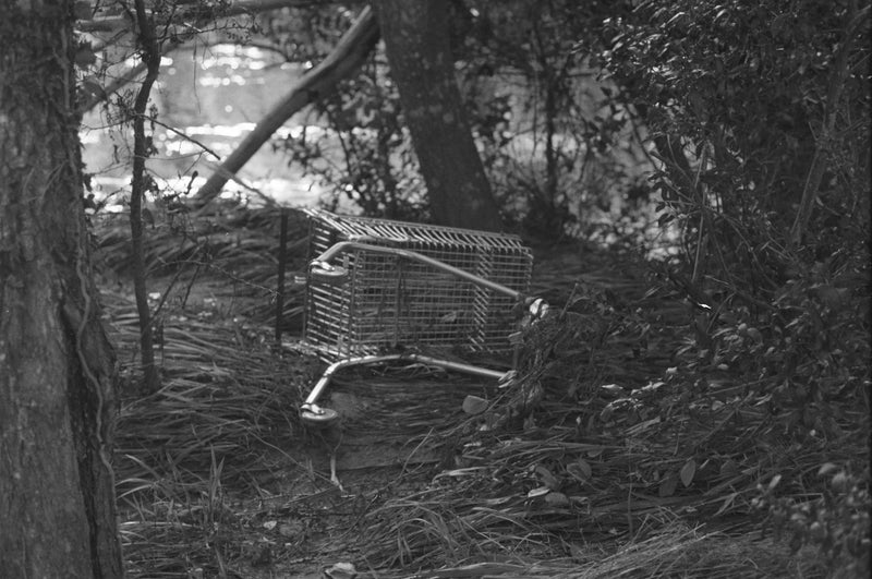 Sample photo shot on Mamiya / Sekor 500 DTL, frame 2