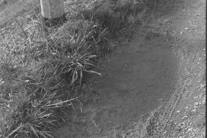 Mamiya / Sekor 500 DTL