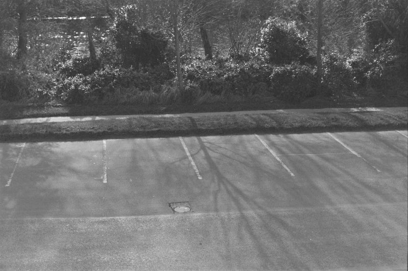 Sample photo shot on Mamiya / Sekor 500 DTL, frame 6