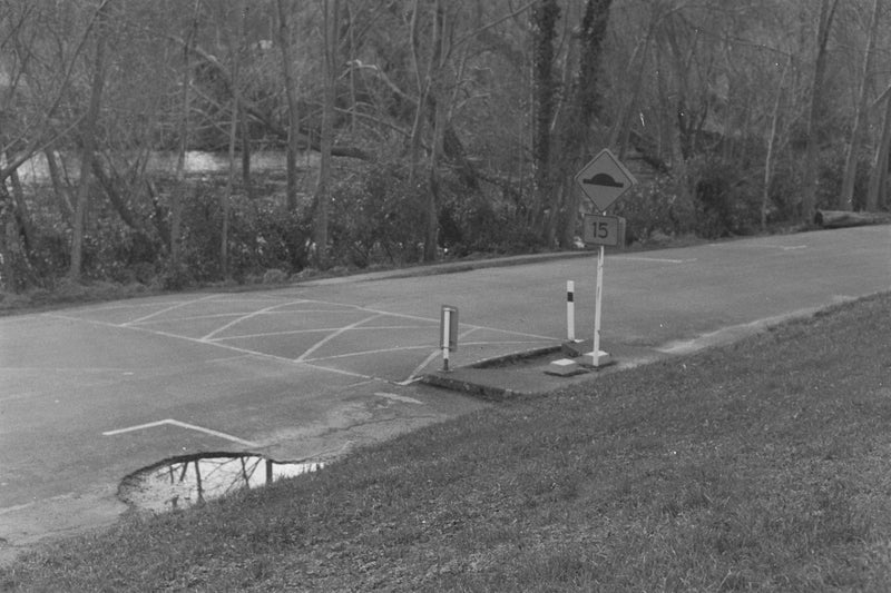 Sample photo shot on Mamiya / Sekor 500 DTL, frame 8