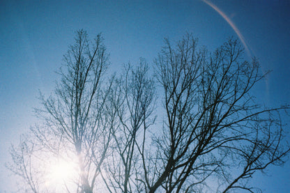 Olympus mju Zoom 140